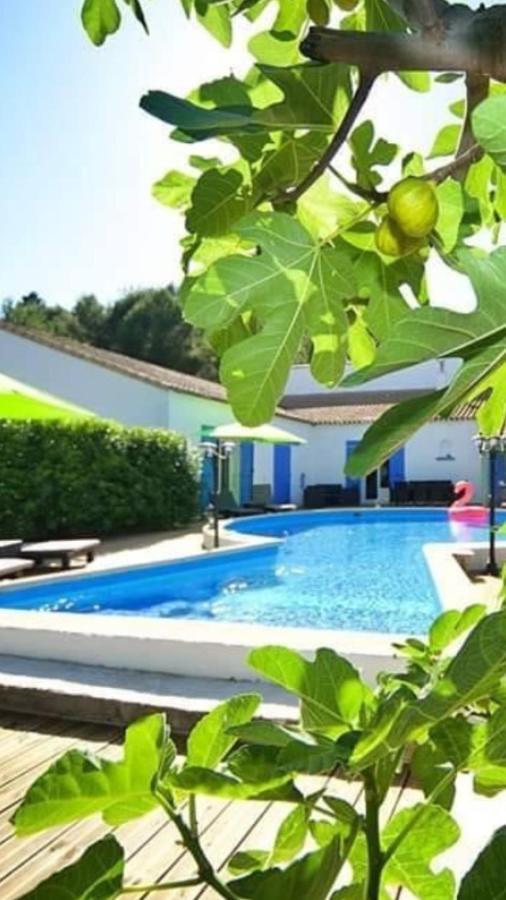 La Villa Du Menhir Chambre D'Hotes Bize-Minervois Bagian luar foto