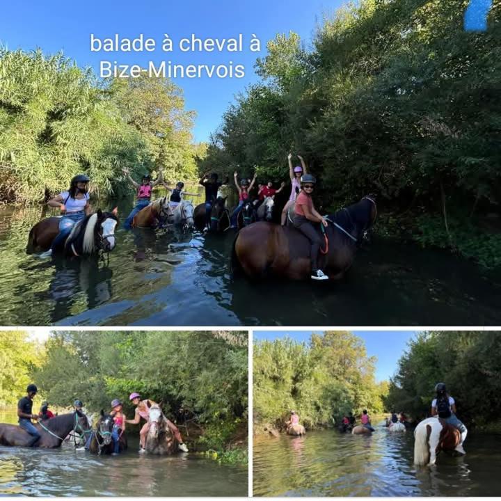 La Villa Du Menhir Chambre D'Hotes Bize-Minervois Bagian luar foto