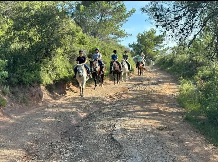 La Villa Du Menhir Chambre D'Hotes Bize-Minervois Bagian luar foto